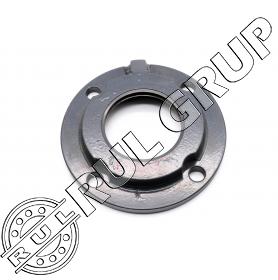 FLANSA 673685 CL